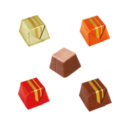 Carrés Chocolat Fourrés Praliné 4 Saveurs