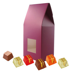 Grand Etui Carrés Chocolat Praliné